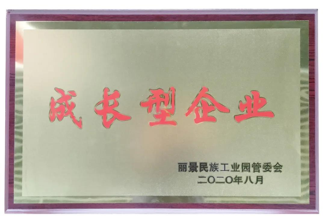 麗景民族工業(yè)園管委會黨工委書記夏雪松一行蒞臨天造公司，召開心貼心一家親座談會.